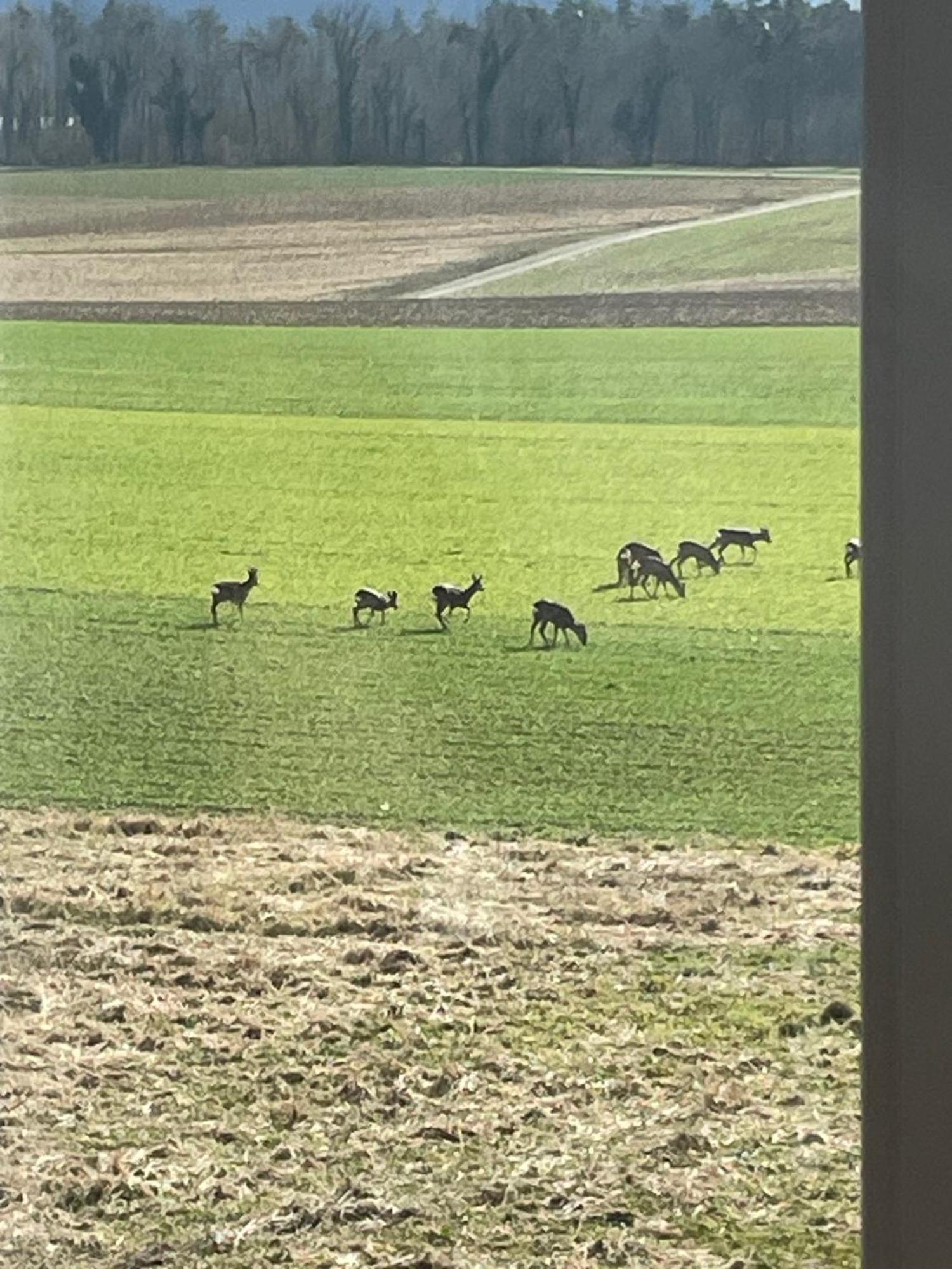 Schoene Unterkunft Naehe Schweiz Gottmadingen Exterior foto